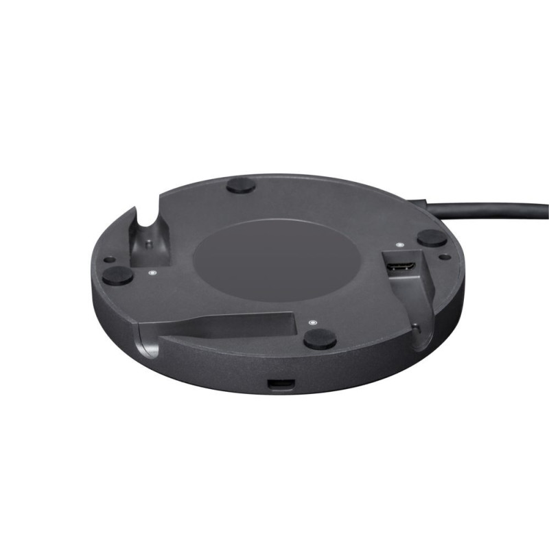 Rally Mic Hub (Splitter)