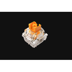 Razer Mechanical Switches...