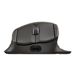 HP Ultra-Fast Scroll Wireless Mouse 785M