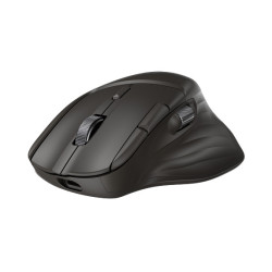 HP Ultra-Fast Scroll Wireless Mouse 785M