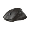 HP Ultra-Fast Scroll Wireless Mouse 785M