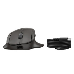 HP Ultra-Fast Scroll Wireless Mouse 785M