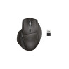 HP Ultra-Fast Scroll Wireless Mouse 785M