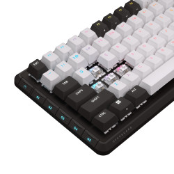 VANGUARD 96-Pulse, Black & White, Dual Tone PBT